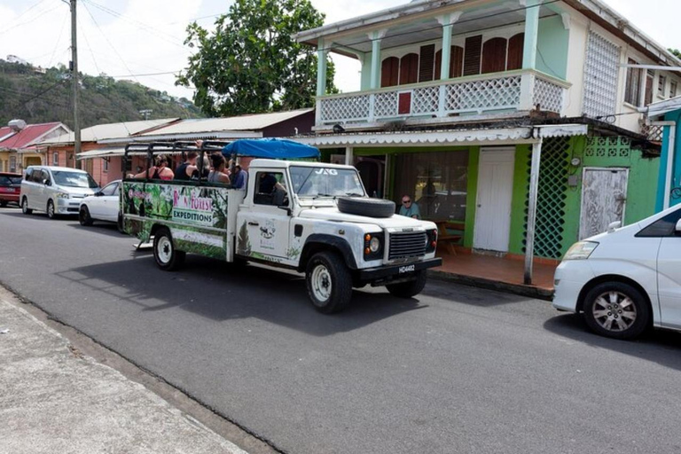 Saint Lucia: Vandring i regnskog och safari vid vattenfallPrivat rundtur (upp till 4 deltagare)