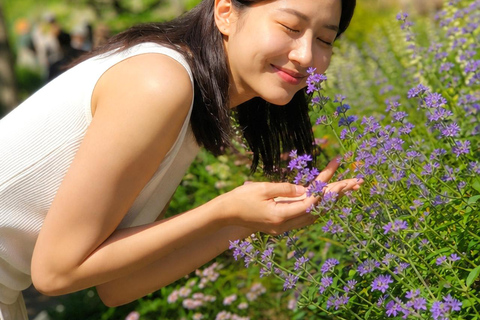 Seoul: Hwadam Forest & Namhansanseong & Korean Folk Village Private Tour (1-8 people Max)
