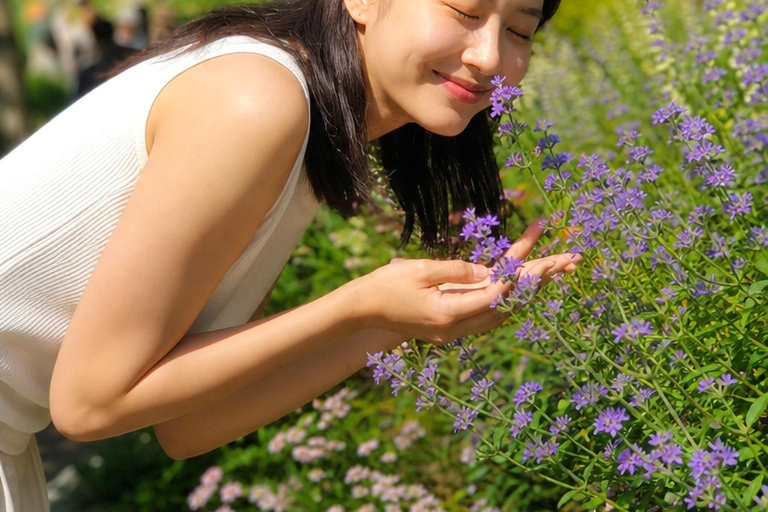Seoul: Hwadam Forest & Namhansanseong & Korean Folk Village Private Tour (1-8 people Max)