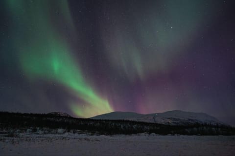 Abisko: Nordlichter-Wanderung mit Huskys