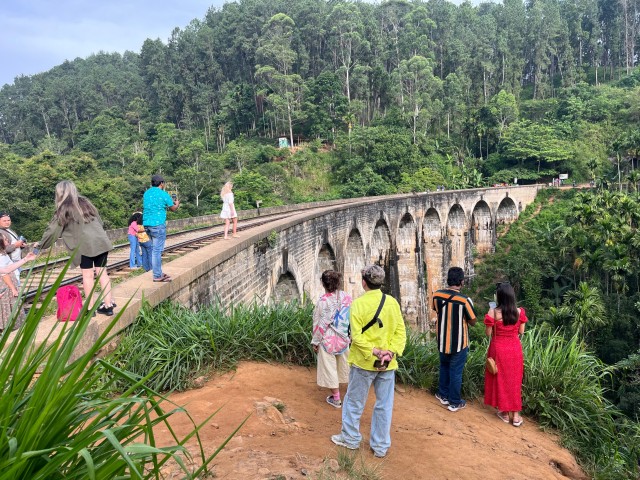 Visit Ella Tea Factory, Train, and Nine Arch Day Tour with Pickup in Talpe