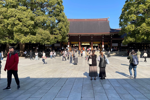 4 horas. Tu aventura ideal de medio día en Tokio.