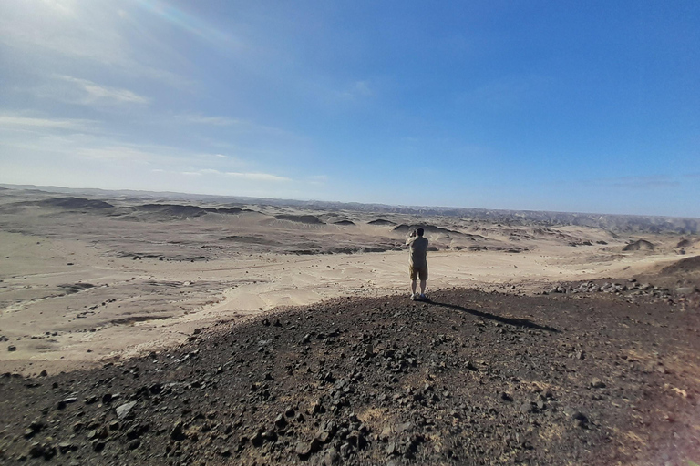 Swakopmund: Namib Desert Sunrise, Seals & Sandwich Harbour