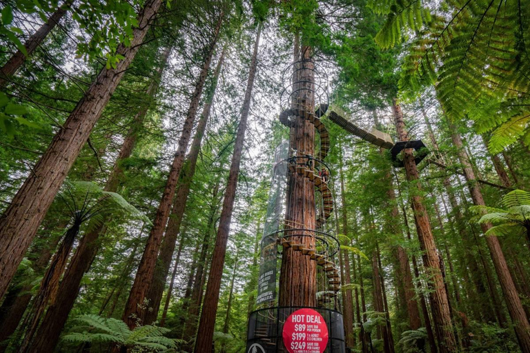 Rotorua : Wai-O-Tapu, Redwoods et Secret Spot, une excursion d'une journée