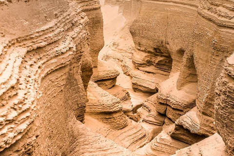 Depuis Ica || Excursion d&#039;une journée complète au Canyon de Los Perdidos ||