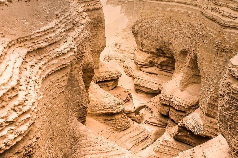 Van Ica | Sandboarden in de Ica woestijn bij zonsondergang