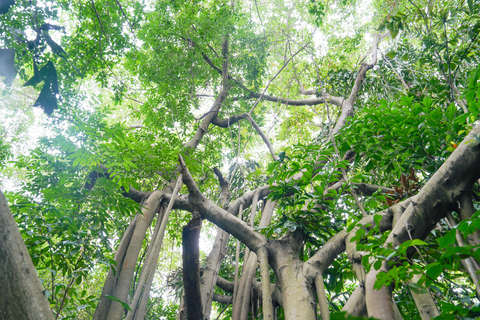 Bangkok Green Oasis Nature Bike Tour