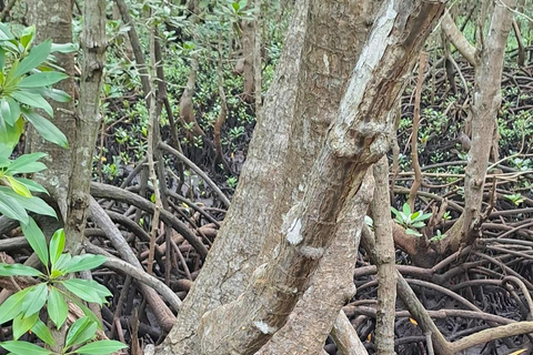 Zanzibar: Spice Farm, Stone Town or Jozani Forest with lunch Spice Farm Experience with lunch – (No Transport)