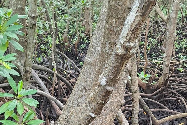 Zanzibar: Spice Farm, Stone Town or Jozani Forest with lunch Spice Farm Experience with lunch – (No Transport)