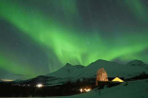 Tromsø: Northern Lights Tour – Unlimited Chase & Free Photos 6-8 Hours, Aurora chase, Comfortable bus, Photos included