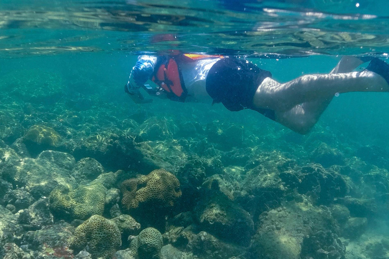 Hong Kong Geopark: Volcano Sightseeing & Hidden Coral Snorkeling Experience (Private) Volcano Sightseeing & Snorkelling Experience