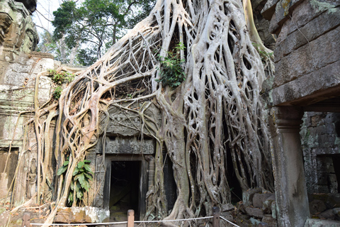 Private Tuktuk taxi to Angkor Wat, Bayon and Ta Prohm Temple