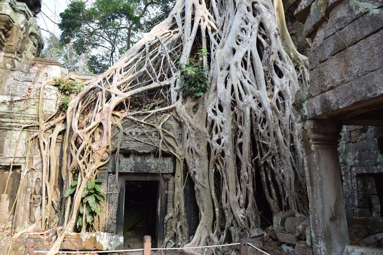 Private Tuktuk taxi to Angkor Wat, Bayon and Ta Prohm Temple
