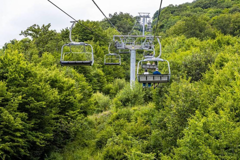 冬季特别之旅：察赫卡佐尔、凯查里斯、阿博维扬和塞凡湖无导游的私人观光