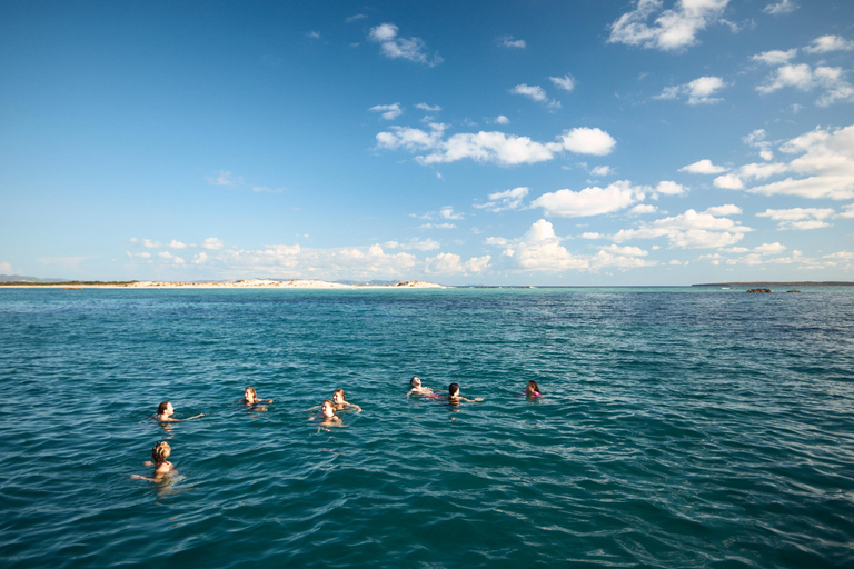 Ibiza: Formentera Boat Trip with Food, Drinks, & Bike Tour All- Inclusive Boat&Bike Tour in Formentera I Origin Edition