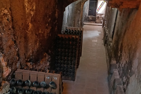 Valencia: tour dei vigneti, degustazione di vini locali e aperitivoValencia: tour dei vigneti, degustazione di vini locali e stuzzichini