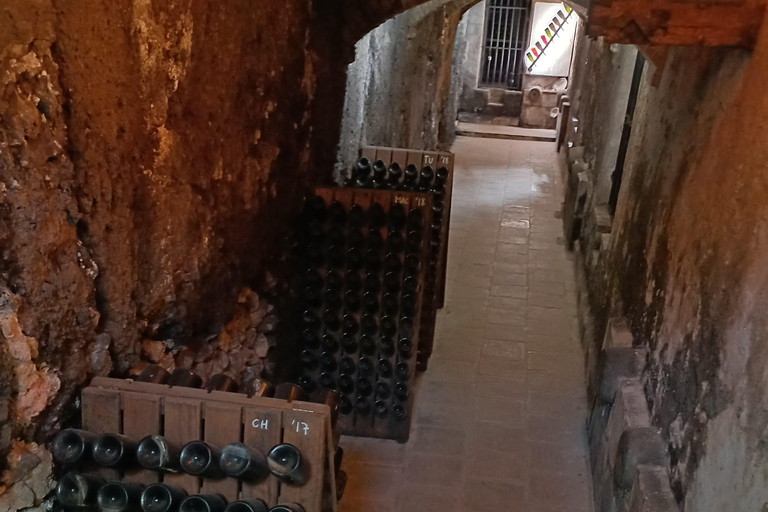 Valencia: tour dei vigneti, degustazione di vini locali e aperitivoValencia: tour dei vigneti, degustazione di vini locali e stuzzichini