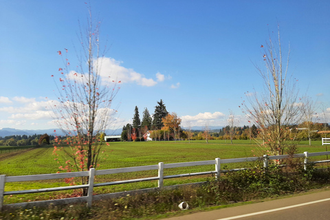 Tour del vino della Valle di Willamette: Un viaggio per i sensi