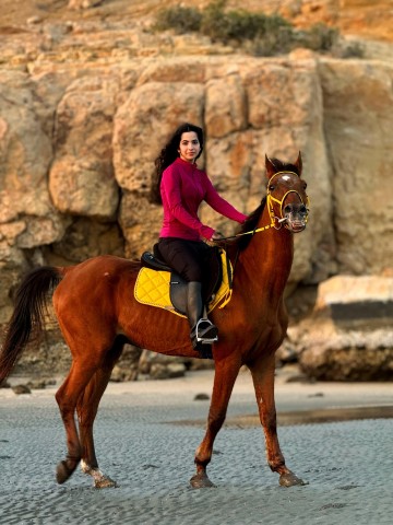 Visit Horse Riding Muscat | Beach Horse Riding in Muscat