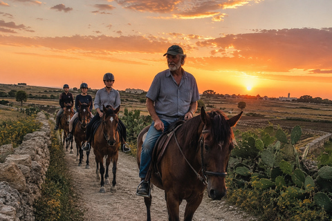 Malta: Sunset Horseback Ride Through Countryside Fields