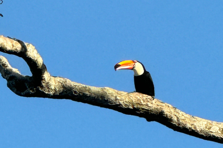 Brasilianische Iguassu-Fälle, Vogelpark Bootssafari alle Tickets