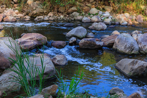 Excursión en quad por Curiti y Piscina NaturalRecogida en San Gil