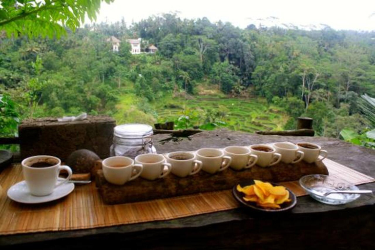 Bali: Mount Batur Sunrise Jeep with Black Lava & Breakfast Bali: Mount Batur Sunrise Jeep with Black Lava & Breakfast