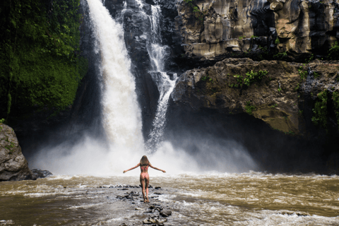 Ubud: Monkey Forest, Waterfall, and Rice Terrace Tour Private Tour Includes Entry Tickets