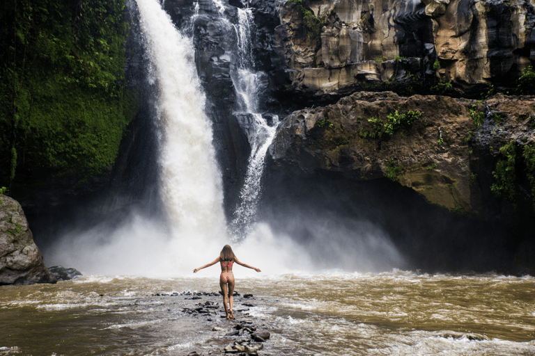 Ubud: Monkey Forest, Waterfall, and Rice Terrace Tour Private Tour Includes Entry Tickets