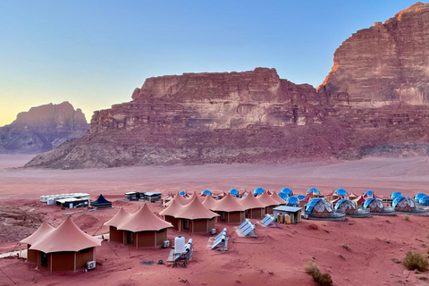 From Petra: Visit wadi rum back to Amman or Amman Airport