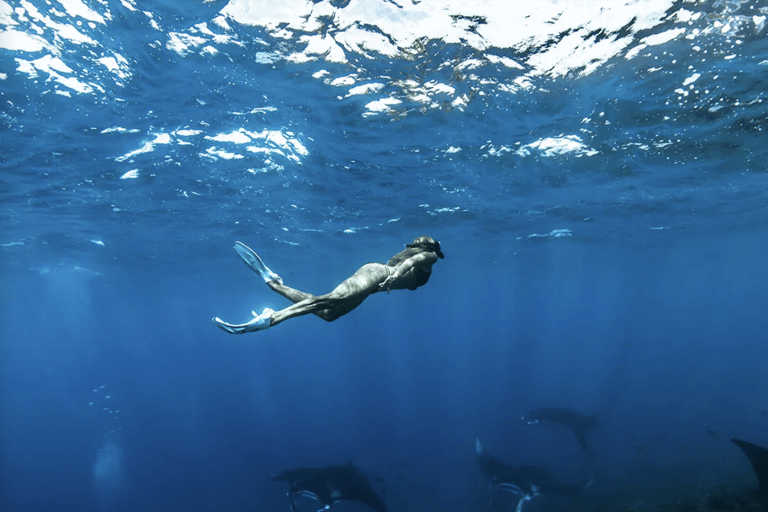 Nusa Penida: Full Day Snorkeling 4 Spots with Private Boat Private Speedboat Tour with Meeting Point at Toya Pakeh Port