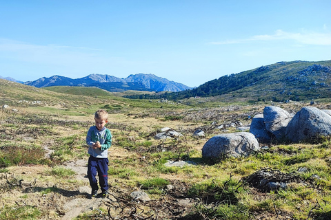 Plateau de Cuscionu, 1000 points d&#039;eau : pozzines