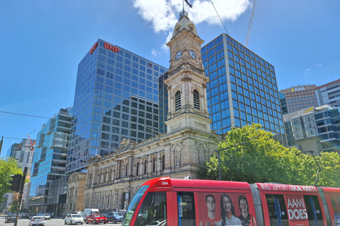 Adelaide: Tour guidato a piedi con bevanda e spuntino