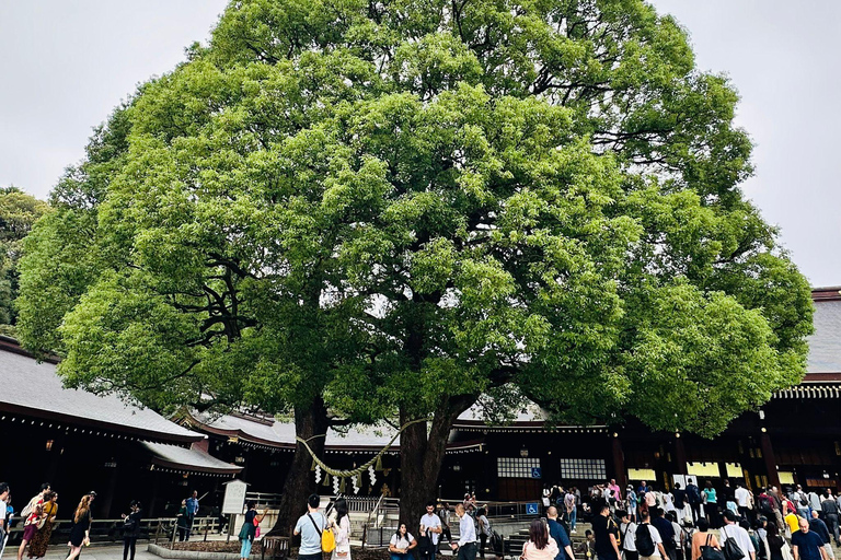 Tokyo: Private Tailored Tour with a Local Guide (2 hours) Tokyo: Private Tailored Tour with a Local Guide