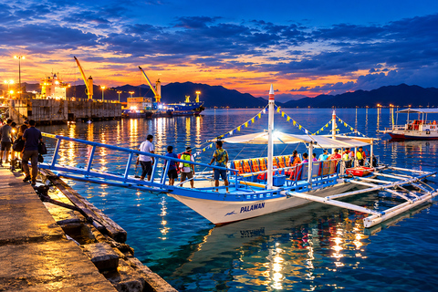 The Uncharted Evening: Puerto Princesa Firefly Oasis
