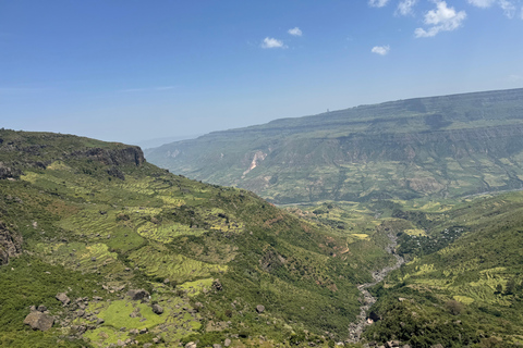 Addis Ababa: City Tour, Debre Libanos & Portuguese Bridge