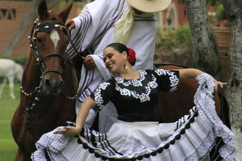 De Trujillo | espetáculo Marinera com cavalos de Paso Peruano