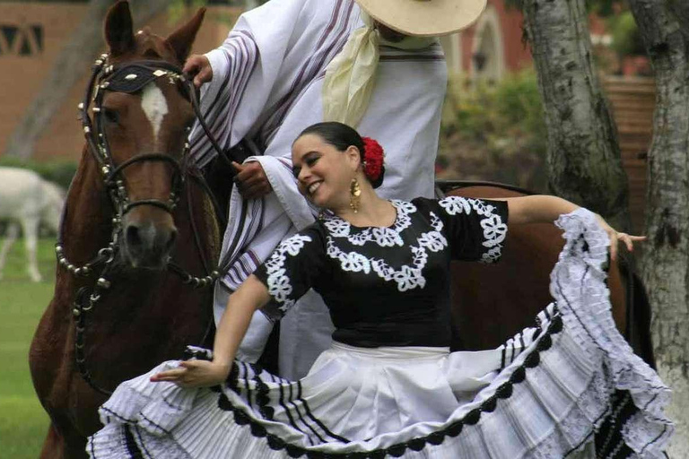 De Trujillo à Marinera, spectacle de chevaux de Paso péruvien