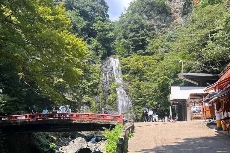Osaka: Minoh Waterfall & Katsuo-ji Temple Half-Day Tour