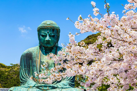 Tour de 1 día del Buda de Kamakura, Enoshima, santuario desde TokioRecogida en la estación de Tokio 8:00