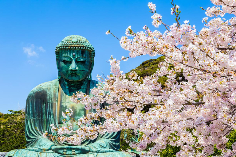 Dagstur till Kamakura Buddha, Enoshima, helgedom från TokyoUpphämtning på Tokyo station kl. 8.00