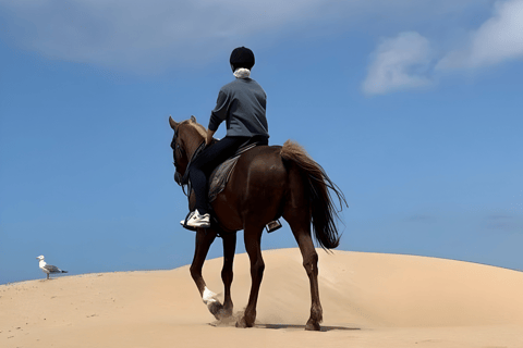 Doha: Desert Horse Riding with Beach Games & Sunset