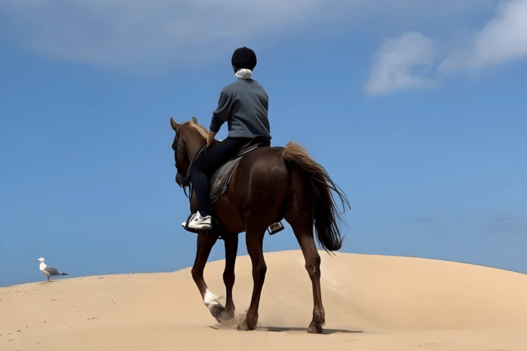 Doha: Desert Horse Riding with Beach Games & Sunset