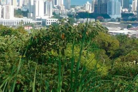 The Two Sides of Panama: Nature + City (Private Tour)