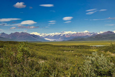 Wild Alaska: Denali Highway Scenic Journey from Fairbanks