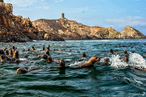 Guided Tour of Historic Callao and Palomino Islands: Art, History, and the Sea Guided Tour of Historic Callao and the Palomino Islands: Art, History and the Sea