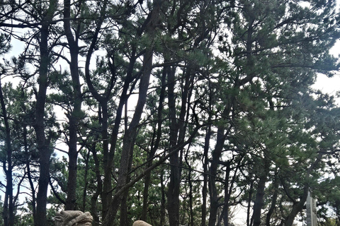 Busan: Top Attractions Tour for Cruise Guests For Busan Cruise Guest Highlight Top Attraction Group Tour