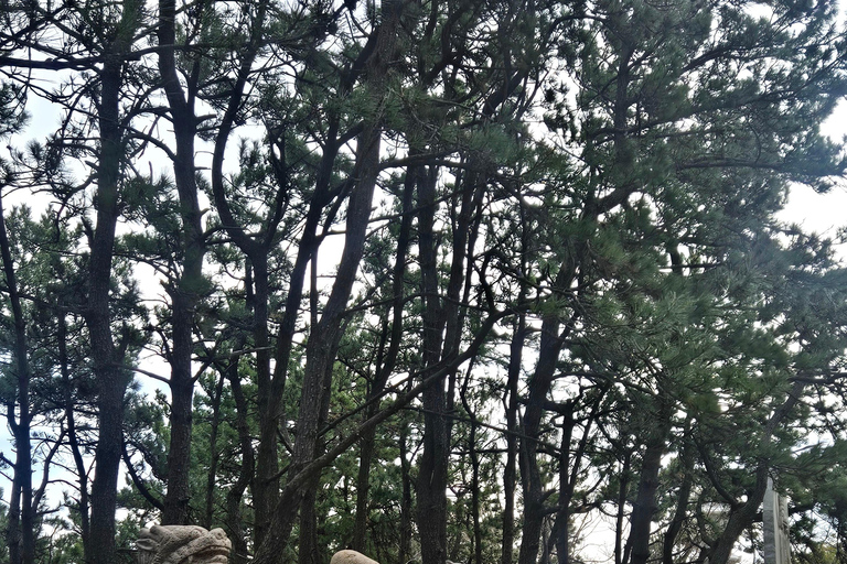 Busan: Top Attractions Tour for Cruise Guests For Busan Cruise Guest Highlight Top Attraction Group Tour