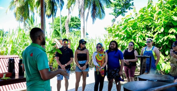 Punta Cana Monkey Sanctuary, Cenote & Dominican Culture Tour