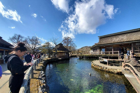 Mt Fuji Sightseeing Private tour with English Speaking Guide